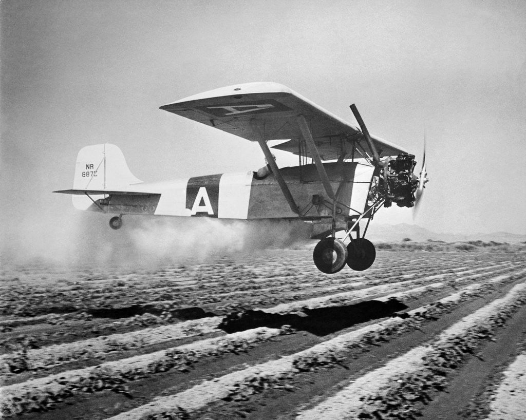 Detail of Airplane Dusting Field with D.D.T. by Anonymous