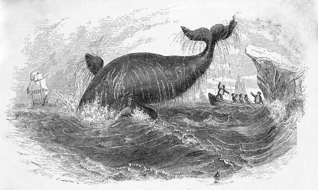 Detail of Whale Breeching by Anonymous