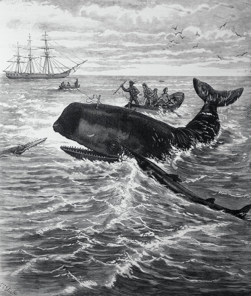 Detail of Fishermen Harpooning Sperm Whale by Anonymous