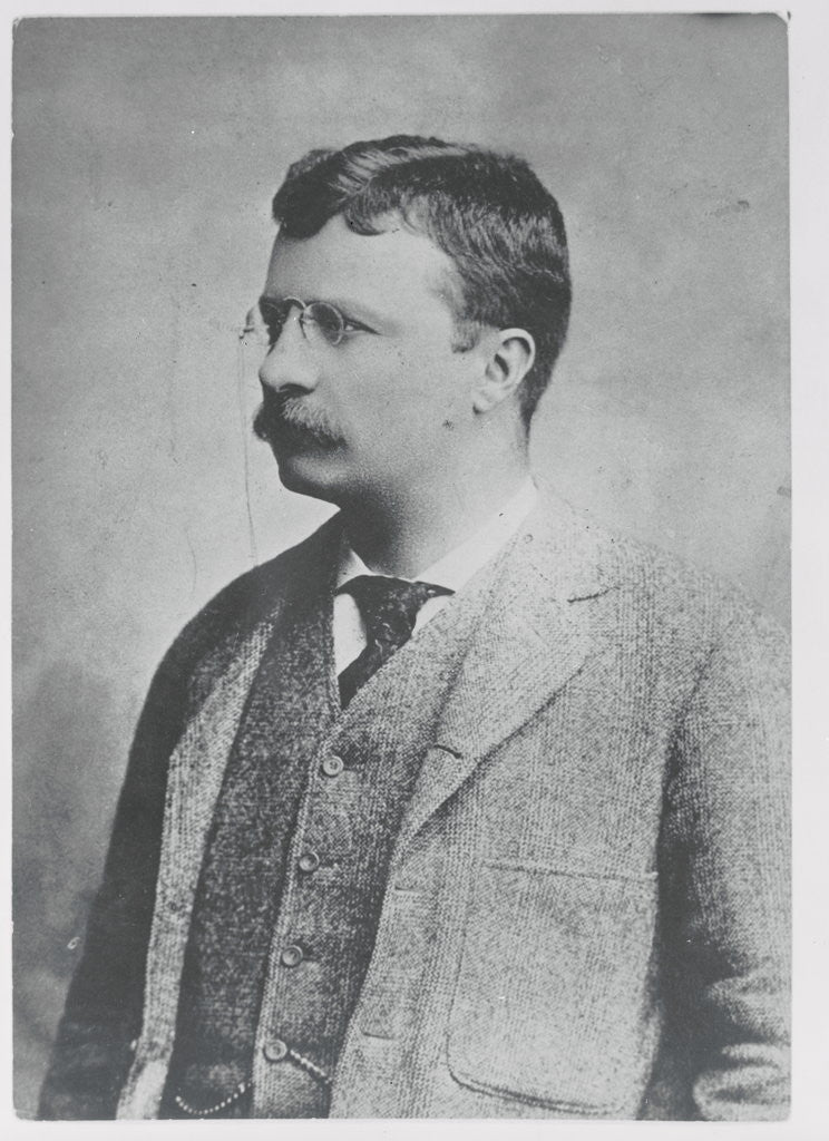 Detail of Portrait of Theodore Roosevelt by Anonymous