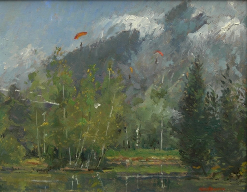 Detail of Hang gliders at Chamonix, 2007 by Pat Maclaurin