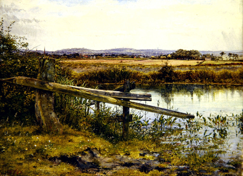 Detail of The Riverside, 1862 by John Edward Newton