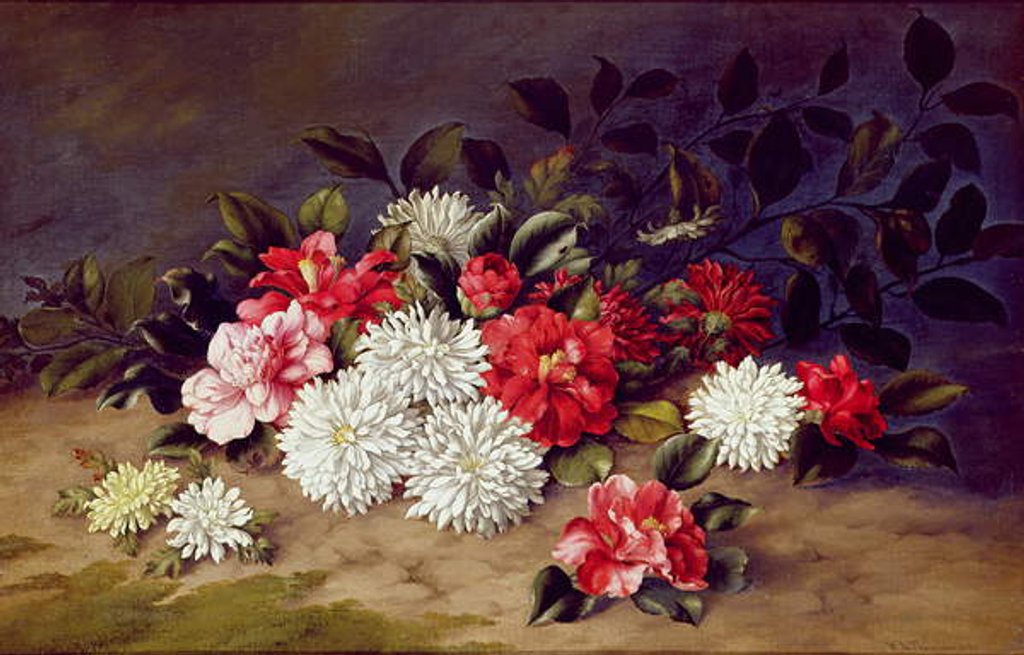 Detail of Still life of Chrysanthemums and Camelias, 1883 by W. R. Thompson