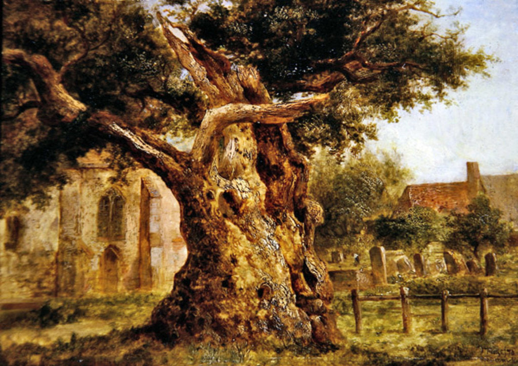 Detail of The Old Oak, 1870 by Joseph Thors