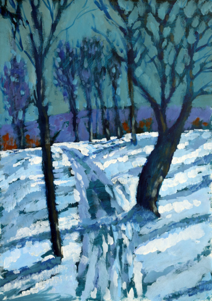 Detail of Snow, 2015 by Paul Powis