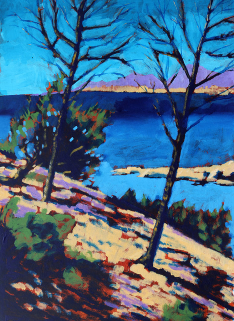 Detail of Peguera, 2016 by Paul Powis