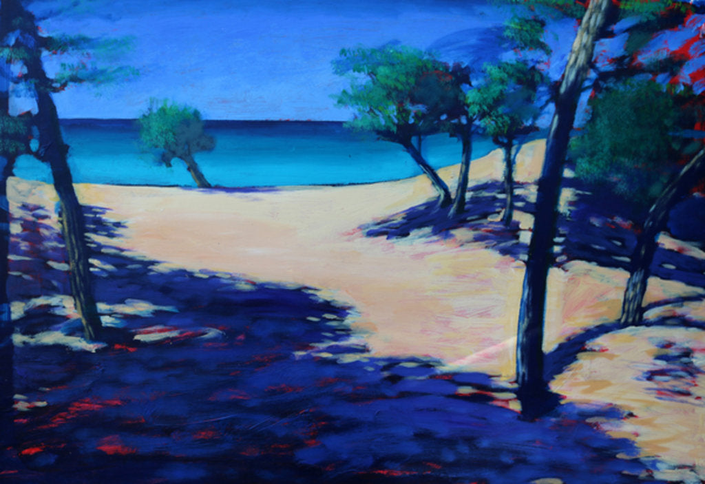 Detail of Shade by Paul Powis