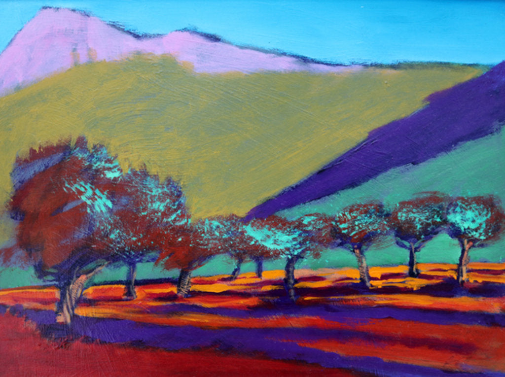 Detail of Olive Trees by Paul Powis