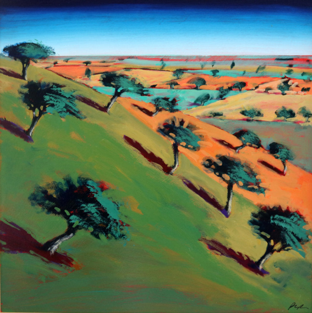 Detail of Ragged Stone Hill by Paul Powis