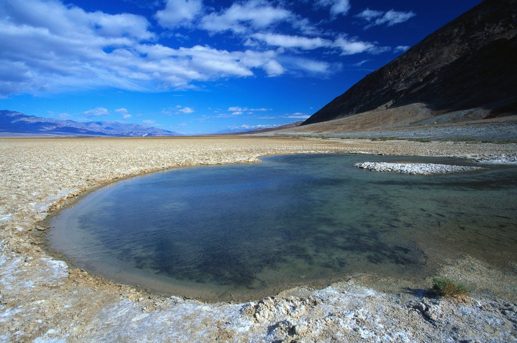 Detail of Badwater Deposit in Death Valley National Park by Anonymous