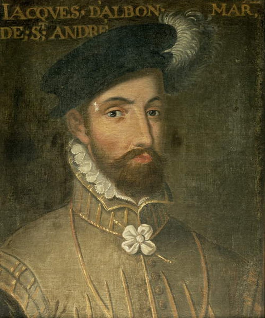 Detail of Jacques d'Albon by French School