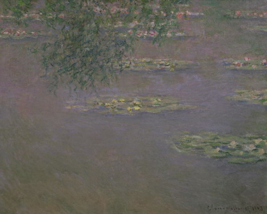 Detail of Waterlilies, 1903 by Claude Monet
