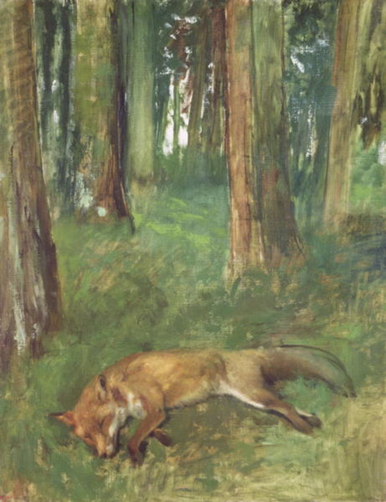 Detail of Dead fox lying in the Undergrowth, 1865 by Edgar Degas