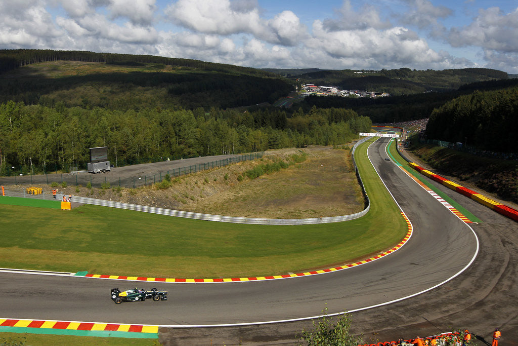 Detail of Deep in the Ardennes, Vitaly Petrov, Belgium by Andrew Ferraro
