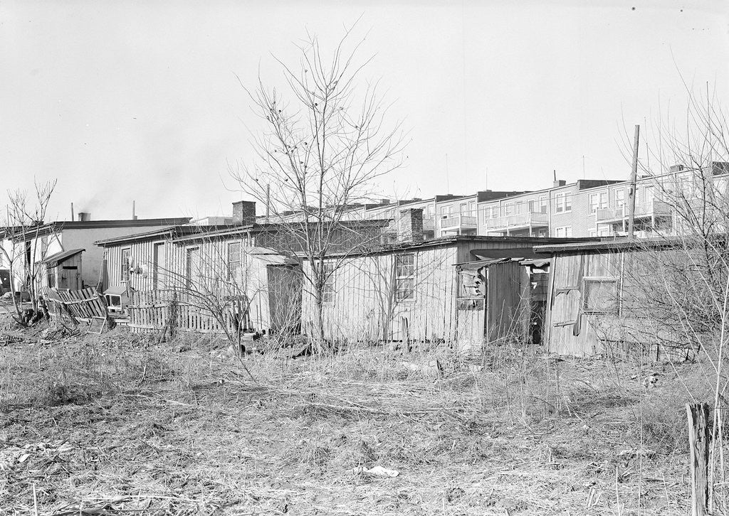 Detail of Lancaster, Pennsylvania - Housing. Barney Google Row by Lewis Hine