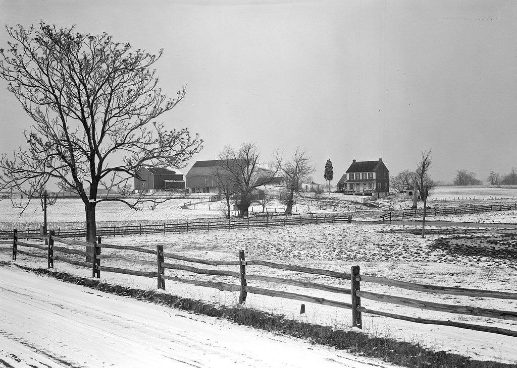 Detail of Lancaster, Pennsylvania - Housing. Adjoining farms on side road near Petersburg, 1936 by Lewis Hine
