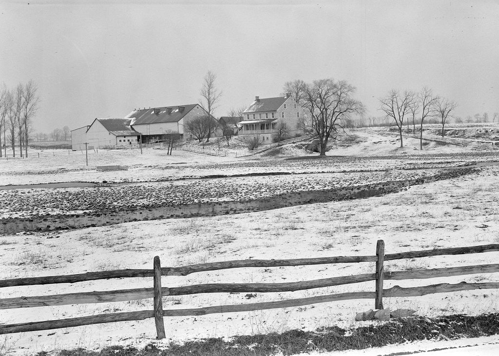 Detail of Lancaster, Pennsylvania - Housing. Adjoining farms on side road near Petersburg, 1936 by Lewis Hine
