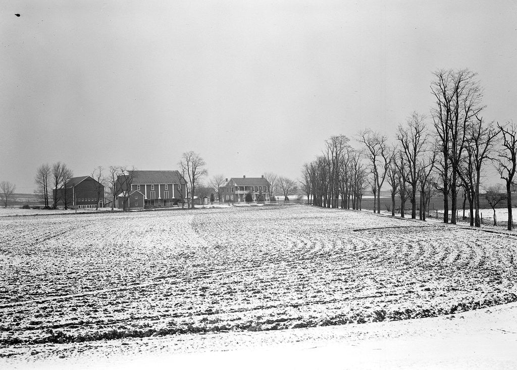 Detail of Lancaster, Pennsylvania - Housing. Typical farm and building near East Petersburg, 1936 by Lewis Hine