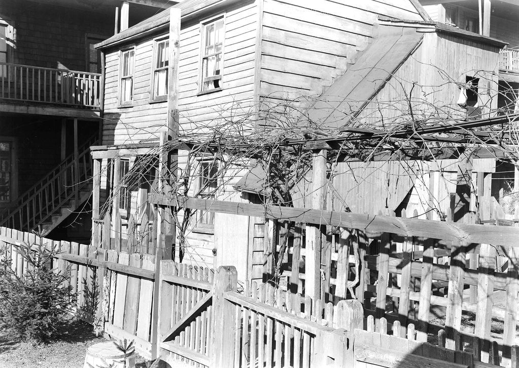Detail of Paterson, New Jersey - Textiles. Rear tenement off Summer St. Former silk workers, March 1937 by Lewis Hine