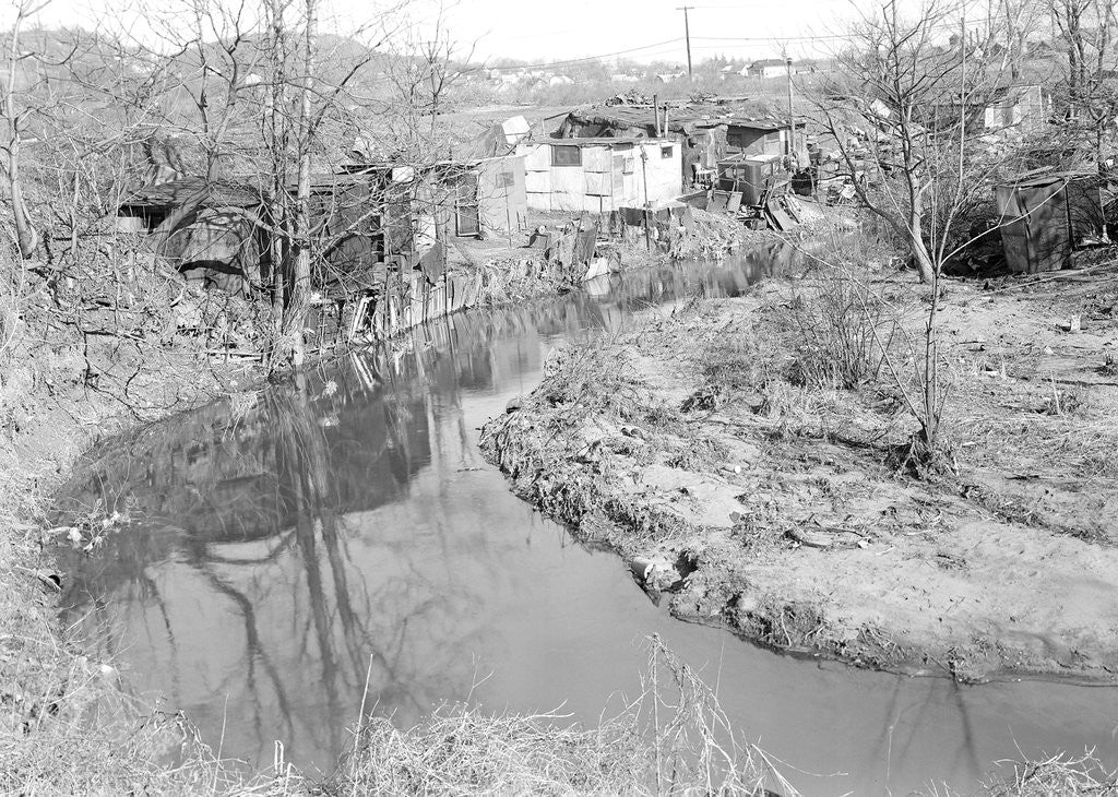 Detail of Paterson, New Jersey - Textiles. Bachelor shacks in outskirts of Paterson, on Molly Jan Brook by Lewis Hine