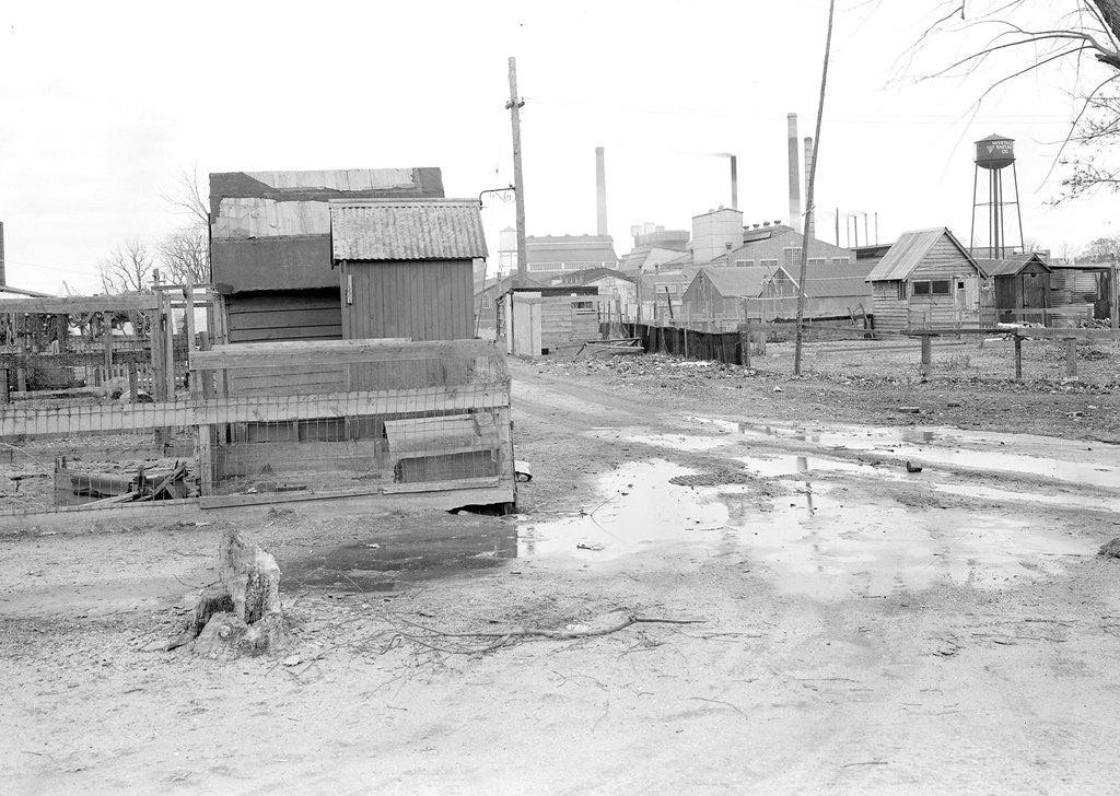Detail of Millville, New Jersey - Scenes. A view of Whitall Tatum Company houses by Lewis Hine