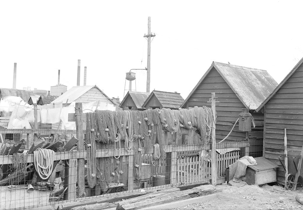 Detail of Millville, New Jersey - Scenes. A view of back yards of Whitall Tatum Company houses looking toward Whitall Tatum upper plant, 1936 by Lewis Hine
