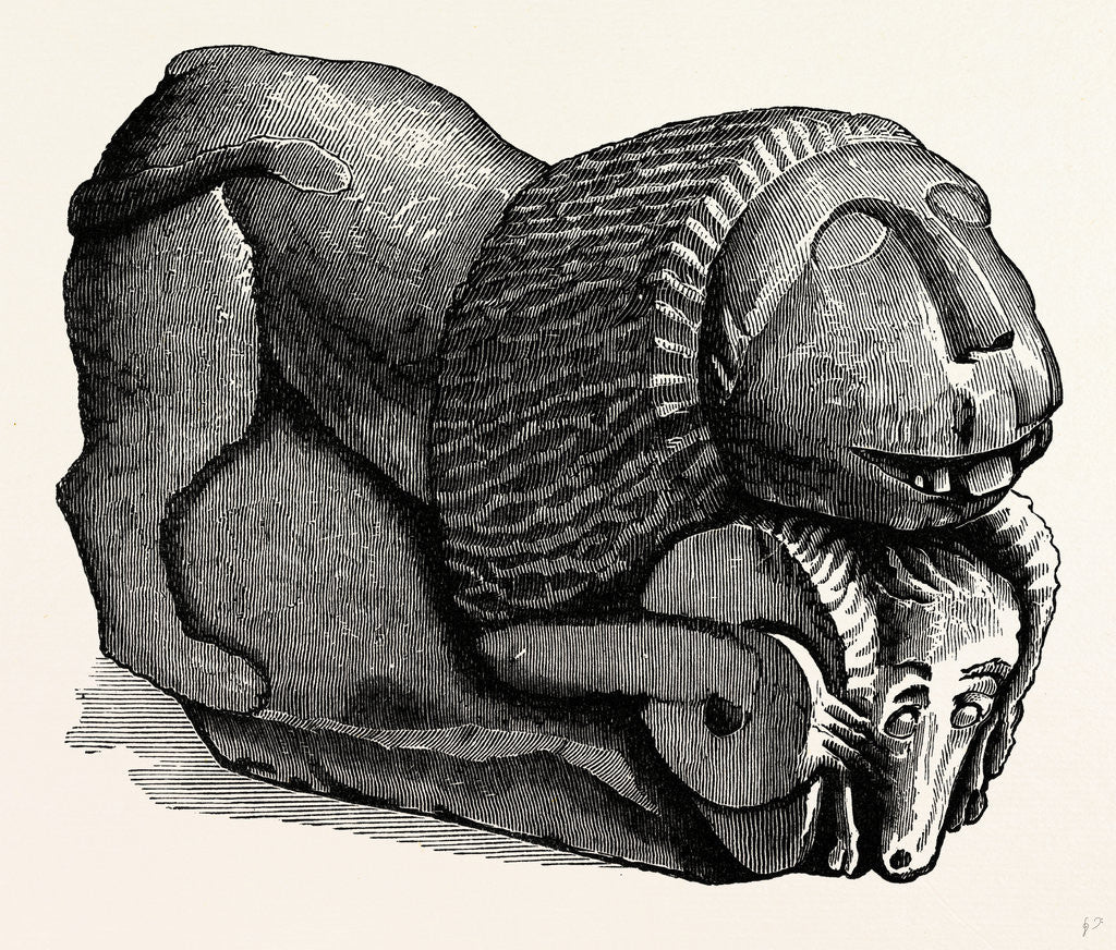 Detail of Roman Remains from Drumburgh and Kirkby Thore by Anonymous