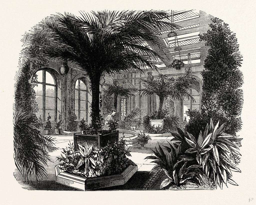 Detail of The Private Conservatory, Trentham by Anonymous