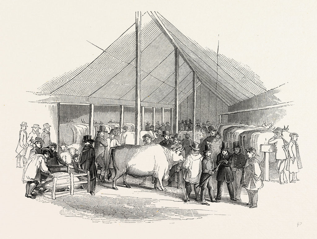Detail of Cattle Show, London by Anonymous