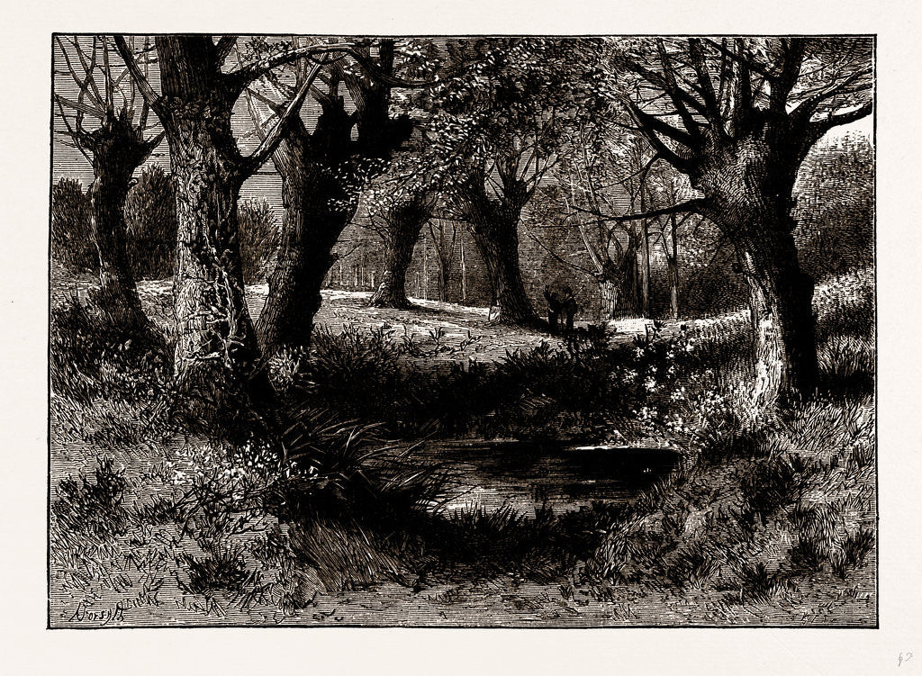 Detail of Ambresbury Banks by Anonymous