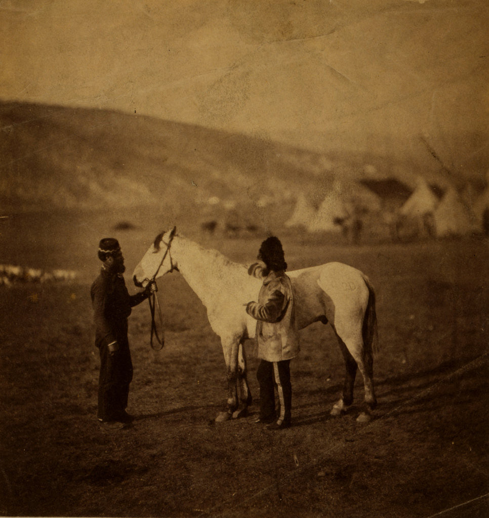 Detail of Colonel Clarke, Scots' Greys, with the horse wounded at Balaklava, Crimean War by Roger Fenton