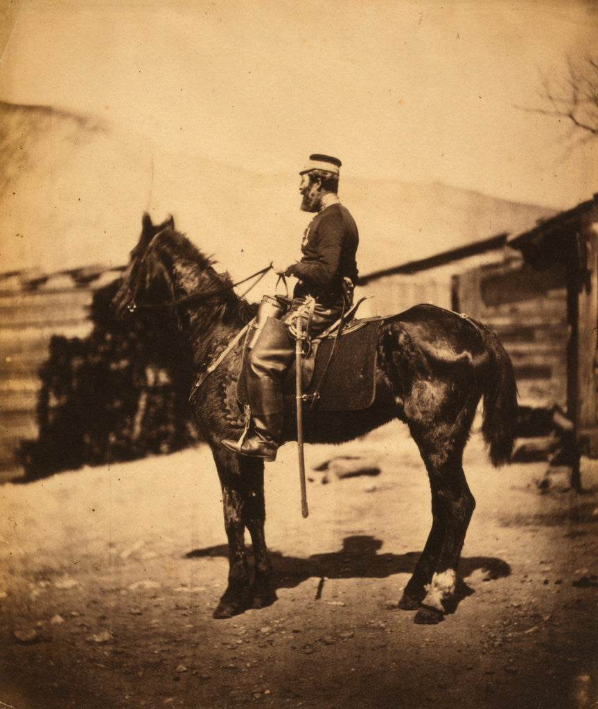 Detail of Quartermaster Hill, 4th Light Dragoons, the horse taken immediately after the winter season, Crimean War by Roger Fenton