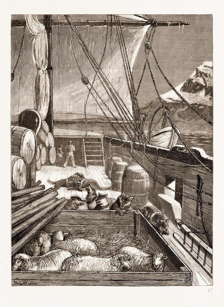 Detail of The Arctic Expedition: Esquimaux Dogs On The Deck Of The alert, 1876 by Anonymous