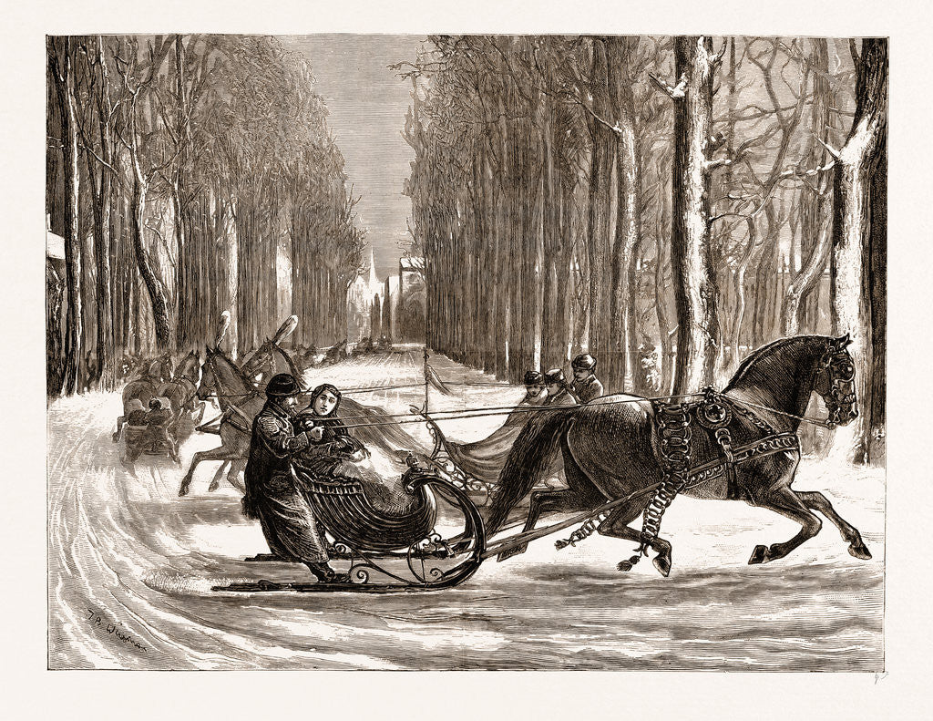 Detail of Sleighing At The Hague by Anonymous