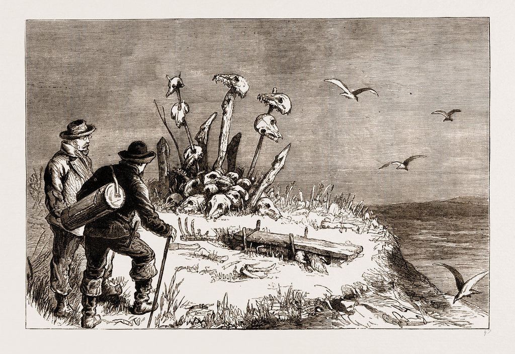 Detail of The Swedish Arctic Expedition: A Samoiede Sacrificial Altar, 1876 by Anonymous