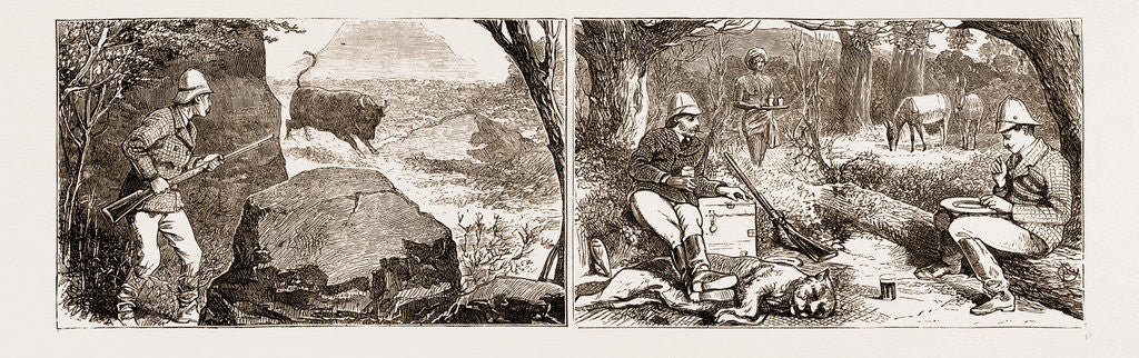 Detail of The Mayor And I Go Out Shooting: A Bison Run, I Am In For It Again; Tiffin: The Best Part Of The Business by Anonymous