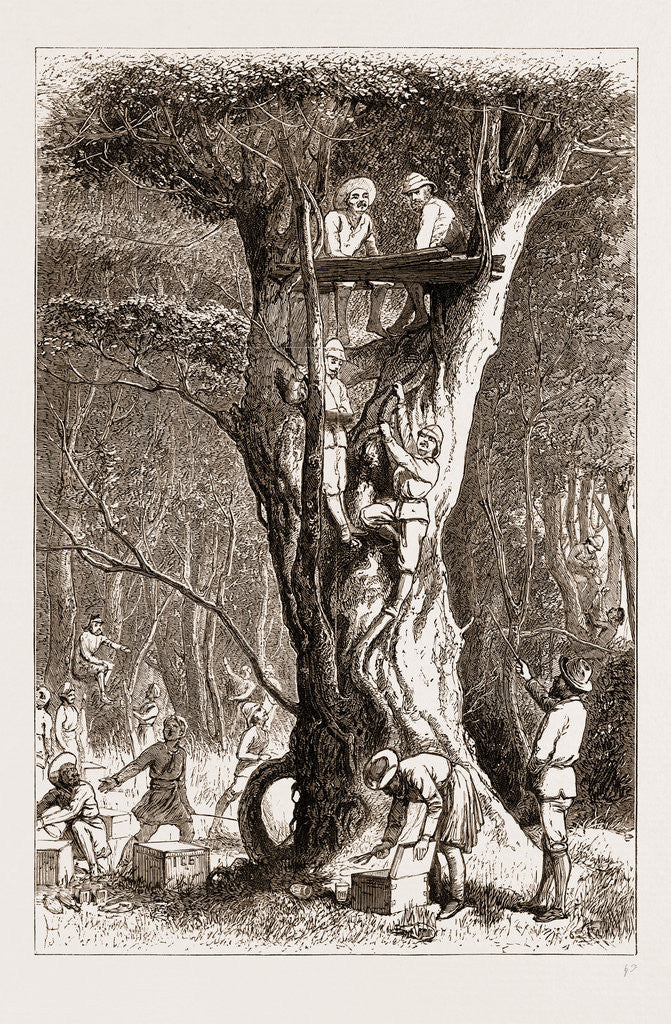 Detail of Wild Elephants Expected, 1876 by Anonymous