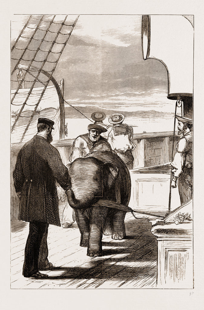 Detail of Utilising The Baby Elephant, 1876 by Anonymous