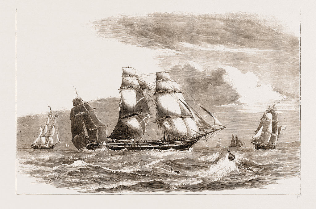 Detail of Our Navy, Old Style: Training Brigs Of The Channel Squadron by Anonymous
