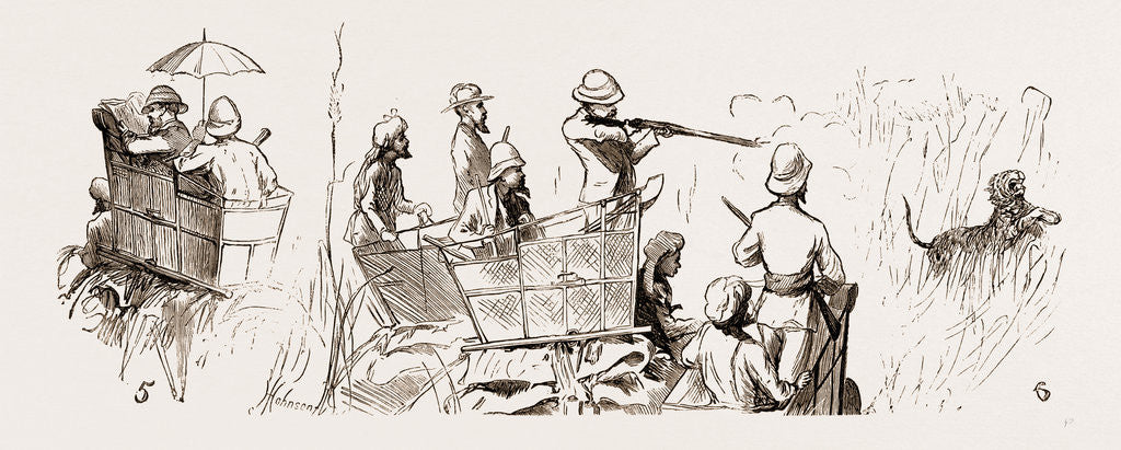 Detail of Reminiscences Of The Nepaul Terai, 1876: 5. News From Home. 6. The Prince's Last Tiger. by Anonymous