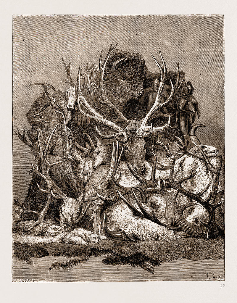 Detail of The Wild Game Of America, 1876 by Anonymous