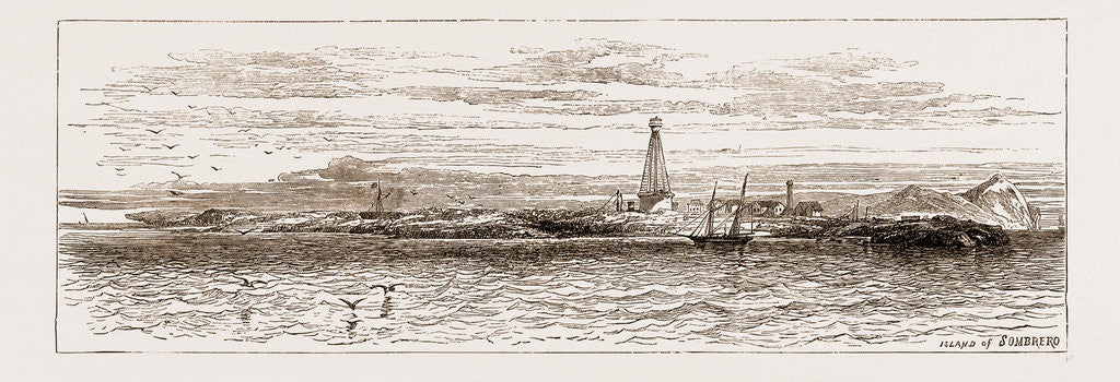 Detail of A Visit To The West Indies, 1876: Island Of Sombrero by Anonymous