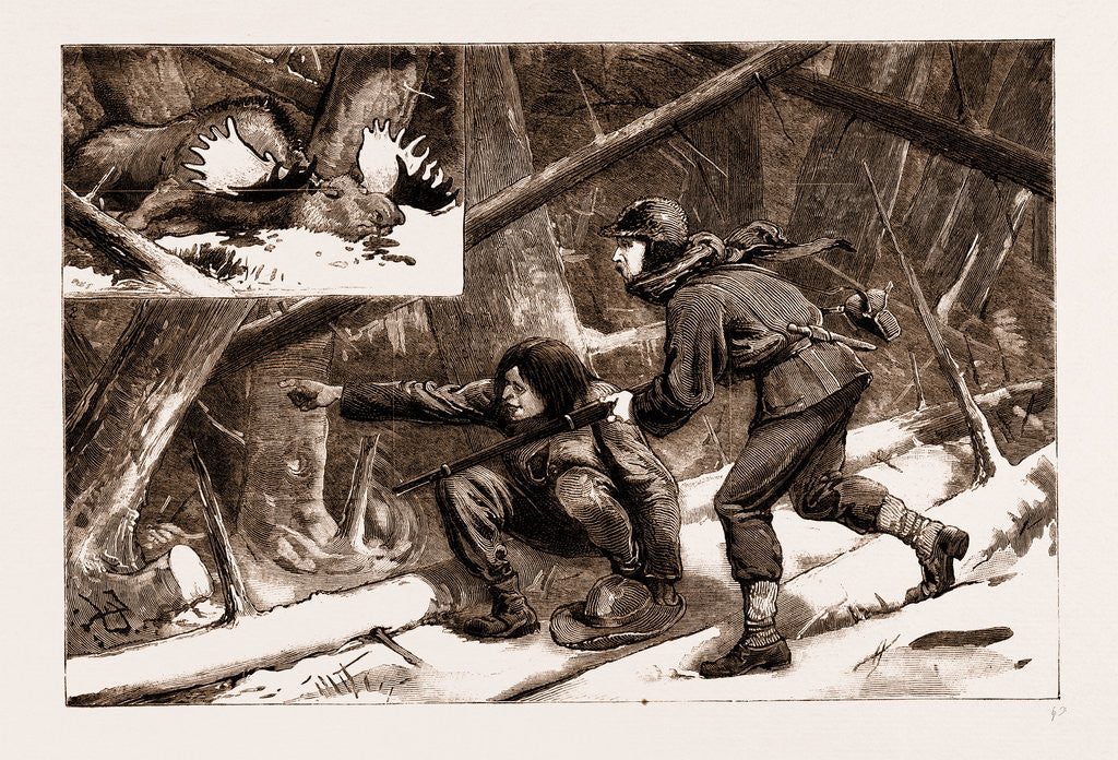 Detail of Moose-creeping In Nova Scotia, 1883 by Anonymous