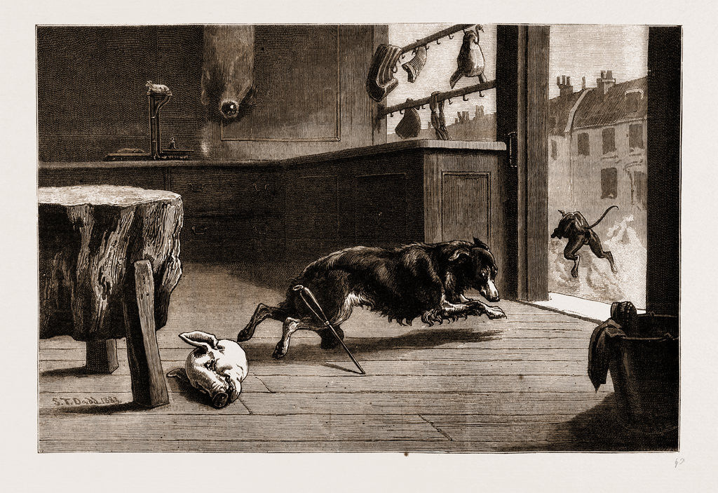 Detail of A corner In Pork: Baffled, 1883 by Anonymous