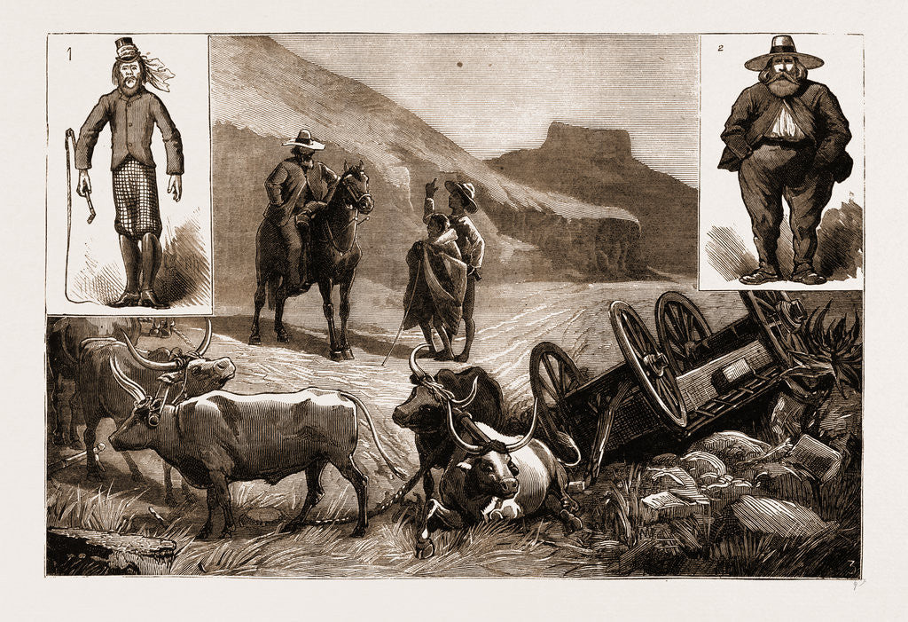 Detail of In The Transvaal, South Africa by Anonymous