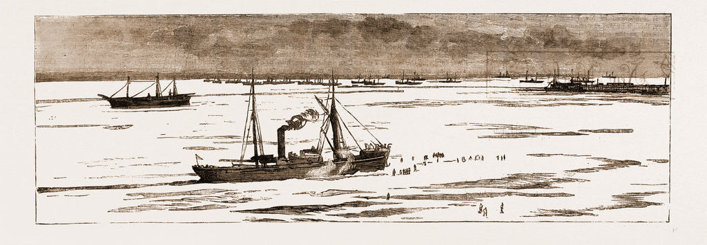 Detail of The Severe Winter In The Black Sea: The Port Of Odessa Blocked With Ice, UKraine by Anonymous