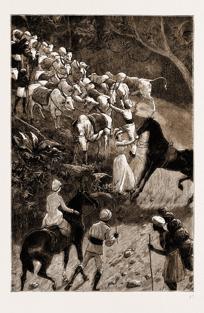 Detail of Life In Southern India by Anonymous