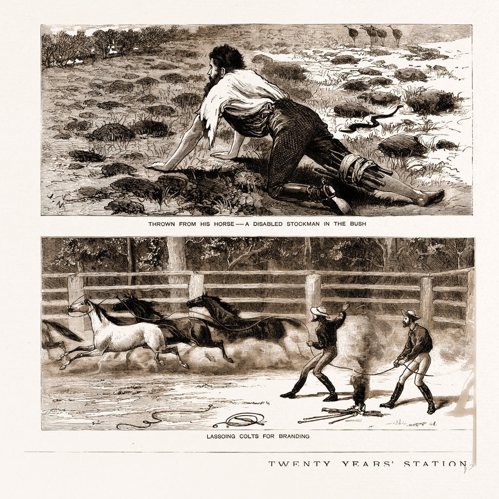 Detail of Thrown From His Horse, A Disabled Stockman In The Bush, And Lassoing Colts For Branding, New South Wales by Anonymous