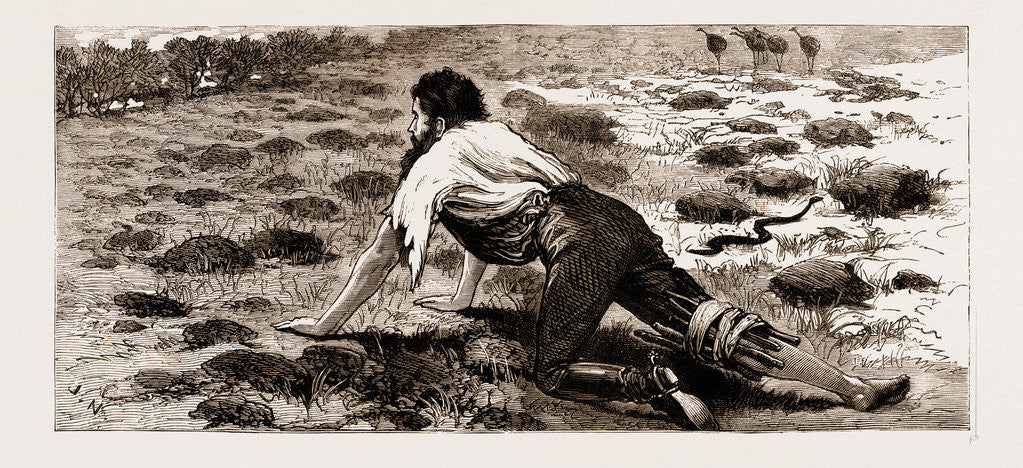 Detail of Thrown From His Horse, A Disabled Stockman In The Bush, New South Wales, Australia, 1883 by Anonymous
