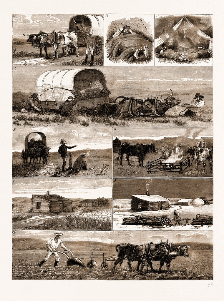 Detail of Scenes From An Emigrant's Life In Manitoba, Canada, 1883 by Anonymous